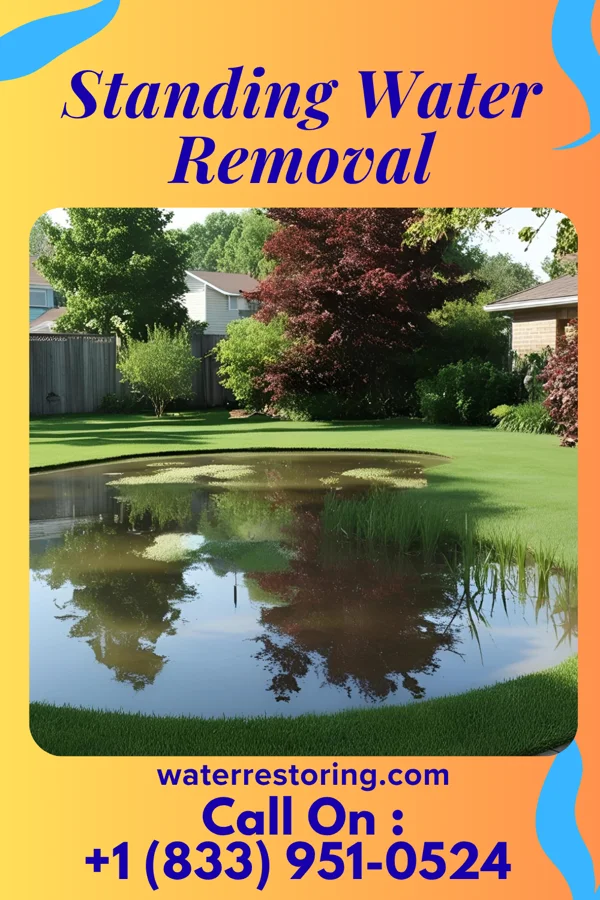 Standing Water Removal in North High Shoals, GA